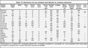 Disease reaction ratings for Mississippi rice cultivars