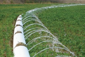 PolyPipe Irrigation1