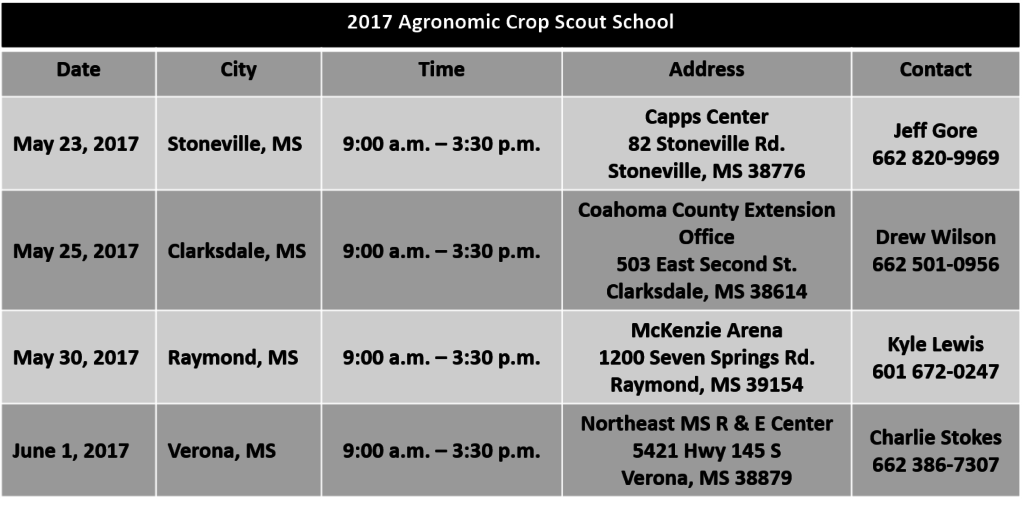 2017 Scout School announcement pic