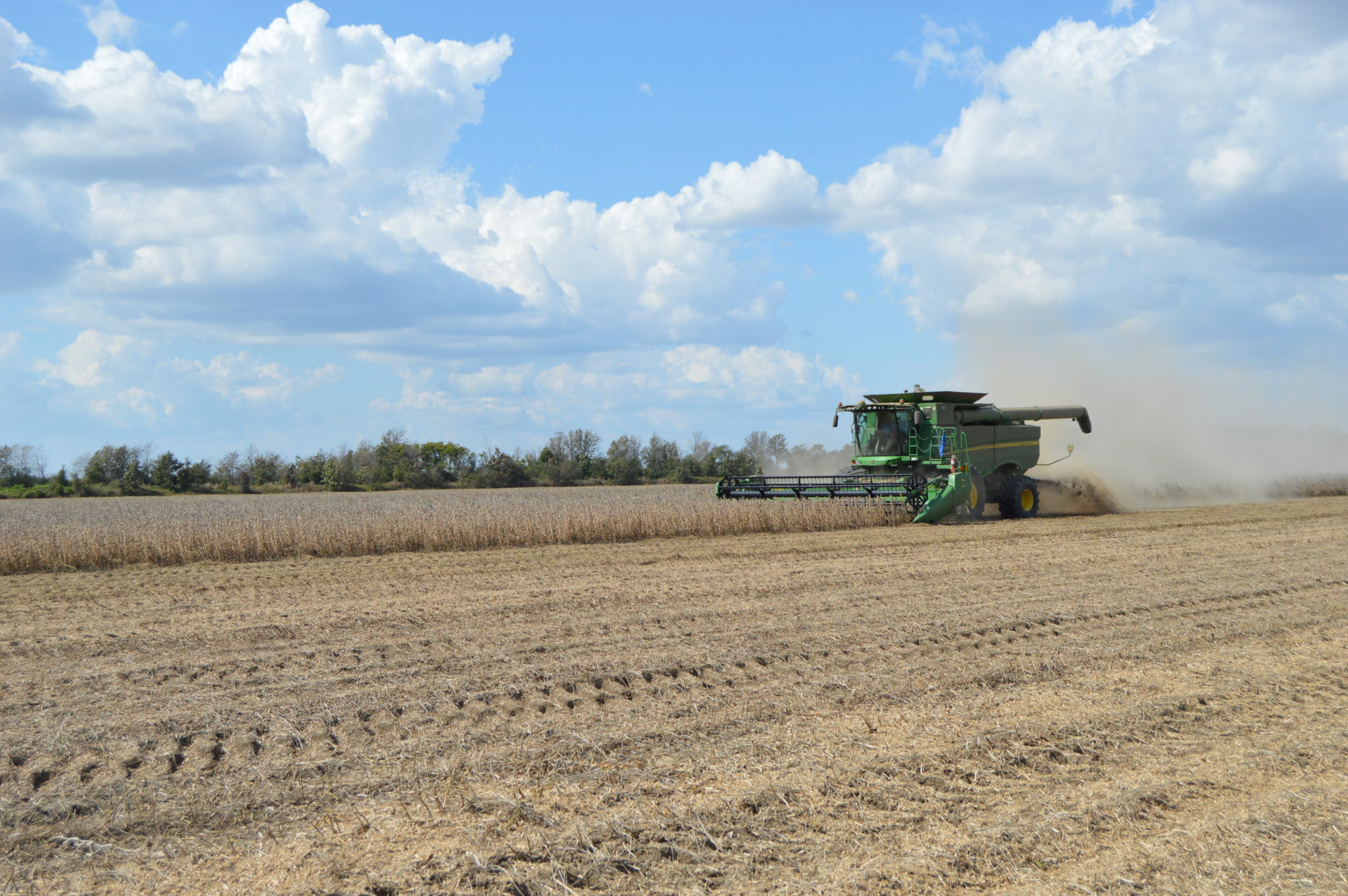 2019 Soybean Variety Demonstration Program Summary | Mississippi Crop ...