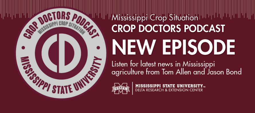 MSU Extension with Angus Catchot and Trent Irby (Podcast)